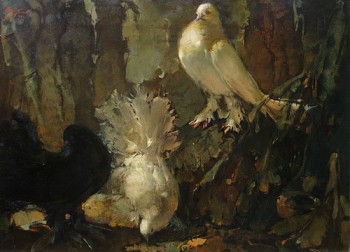 Doves In The Night